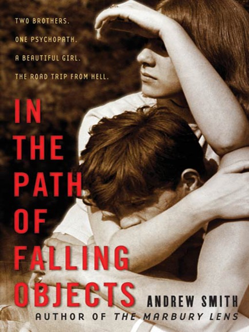 Title details for In the Path of Falling Objects by Andrew Smith - Wait list